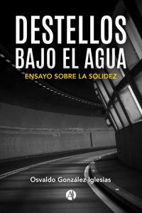 Imagen de portada de libro Destellos bajo el agua
