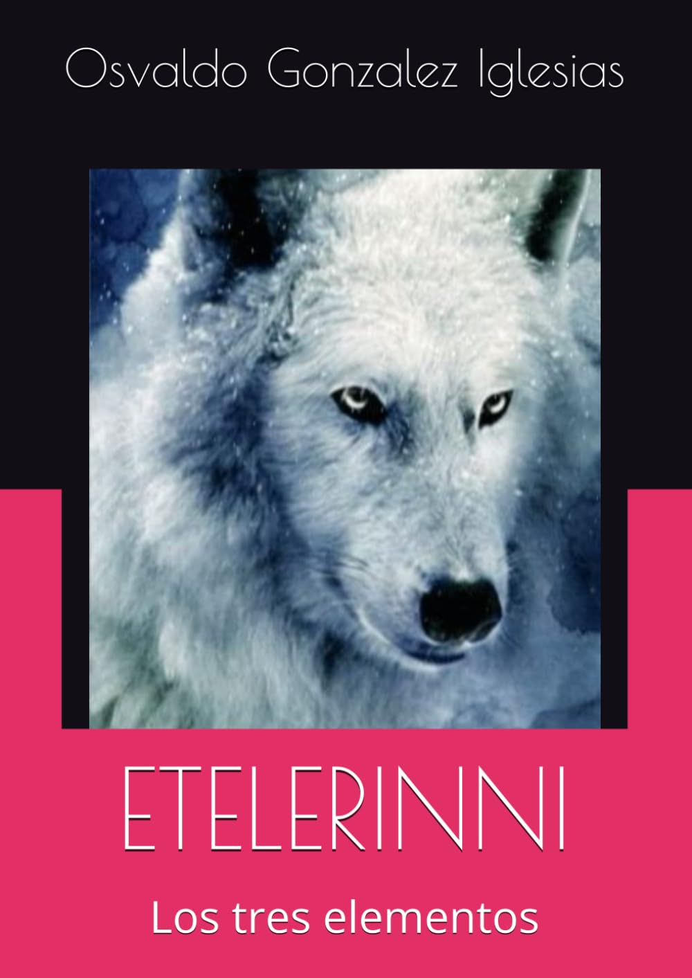 Imagen de portada de libro Etelerinni